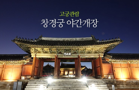 오피라이프 핫플레이스 서울창경궁