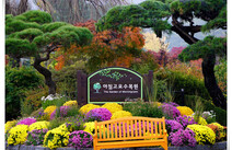 오피라이프 가평아침고요수목원