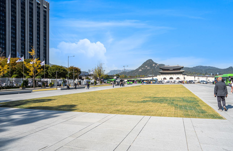 오피라이프 핫플레이스 서울광화문광장