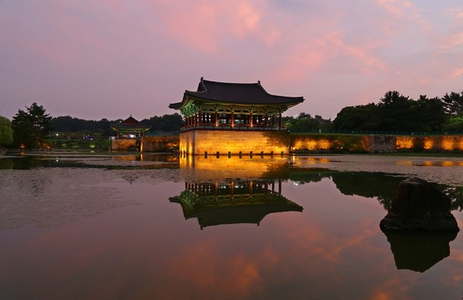 오피라이프 핫플레이스 경북경주시