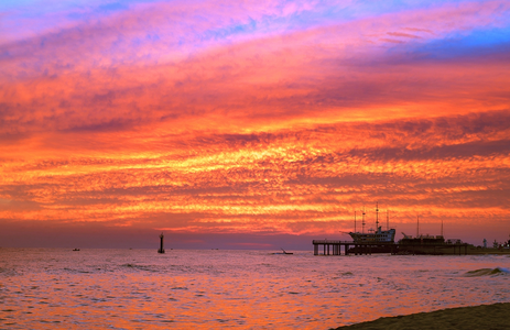 오피라이프 핫플레이스 강원정동진