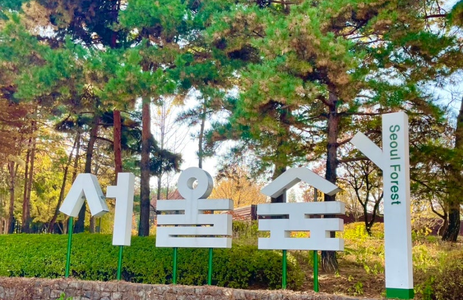 오피라이프 핫플레이스 서울서울숲공원